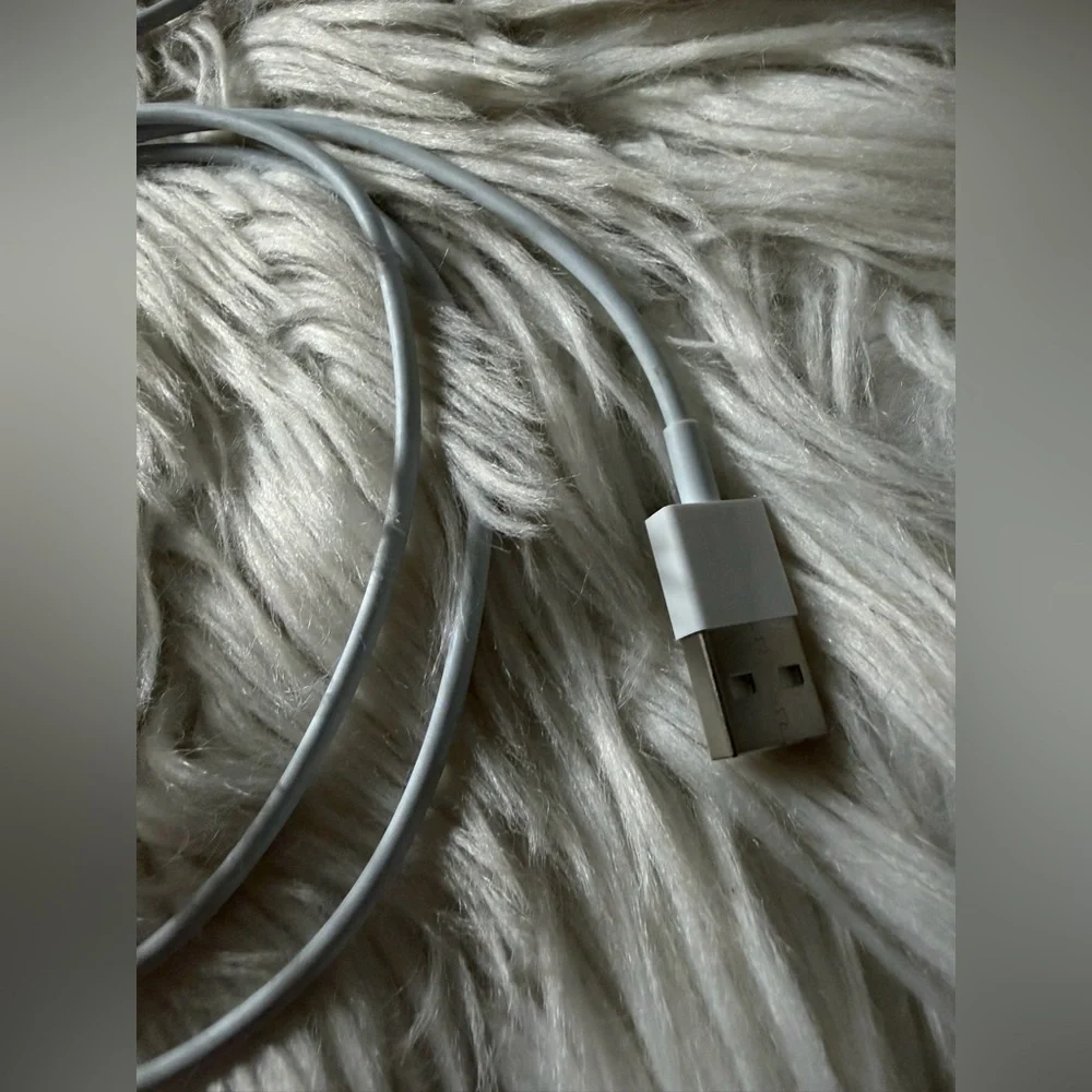Apple iPhone Lightning cord bundle (x2)